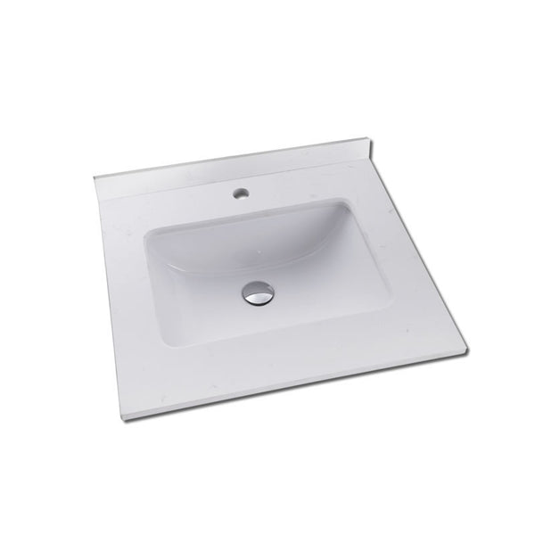 CTS COUNTERTOP W/SINK